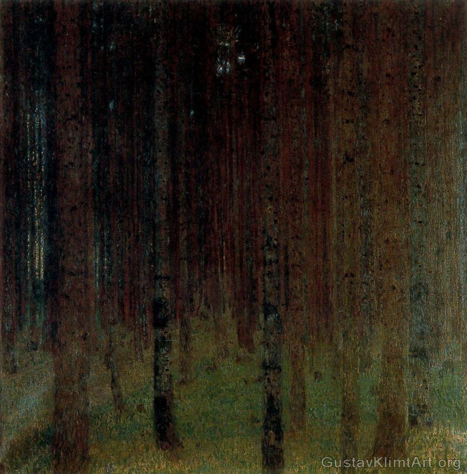 Pine Forest II